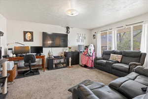 Living area featuring carpet flooring and a textured ceiling