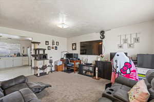 Carpeted living area with a textured ceiling