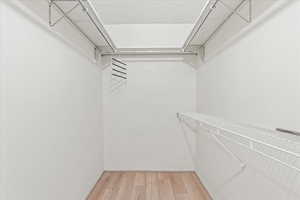 Spacious closet featuring light wood finished floors