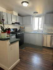 Kitchen featuring under cabinet range hood, appliances with stainless steel finishes, a sink, dark countertops, and dark wood-style floors