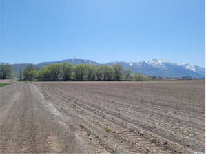Property view of mountains with a rural view