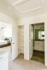 Bedroom featuring a closet, a walk in closet, light colored carpet, and a sink