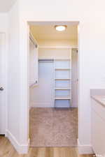 Walk in closet featuring light carpet and light wood-style floors