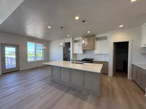 Kitchen featuring light wood-type flooring, backsplash, a sink, glass insert cabinets, and custom exhaust hood