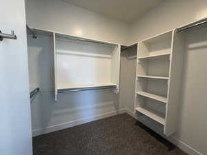 Spacious closet with dark carpet