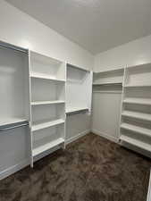 Spacious closet featuring dark colored carpet