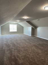 Additional living space with a textured ceiling, visible vents, and carpet floors