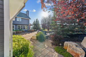 View of yard featuring a patio
