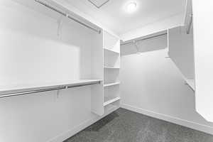 Spacious closet featuring dark colored carpet