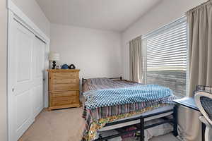 Lower level bedroom