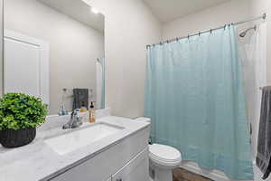Lower level full bath