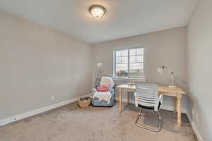 Carpeted office with baseboards and a textured ceiling