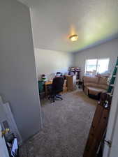 Home office featuring carpet floors and a textured ceiling