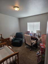 Carpeted bedroom featuring a textured ceiling