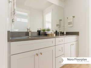 Full bathroom featuring a healthy amount of sunlight, double vanity, and a sink