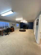 Finished basement family room.