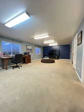 Finished basement family room.