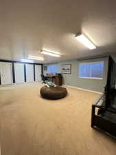 Living area with carpet floors and a textured ceiling