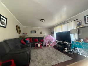 Living room featuring ornamental molding