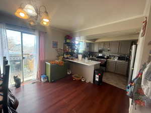 Kitchen with a wealth of natural light, under cabinet range hood, a peninsula, and stainless steel appliances
