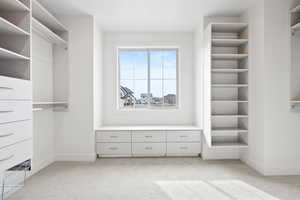 Walk in closet featuring light colored carpet