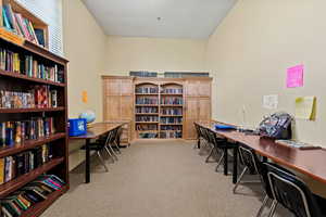 Office featuring bookshelves and light carpet