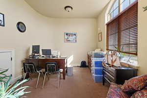 Home office with carpet floors, a wealth of natural light, and baseboards