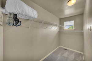 Spacious closet with visible vents and carpet