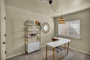 Carpeted home office with a textured ceiling, baseboards, and a wealth of natural light