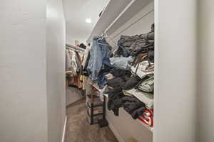 Walk in closet featuring carpet