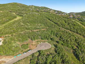 Aerial overview of property's location featuring a mountainous background and a heavily wooded area
