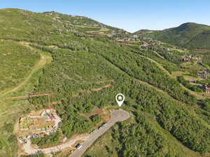 Aerial view of property's location with a mountainous background and a forest