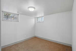 Below grade area featuring light carpet