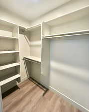 Spacious closet with light wood-style flooring
