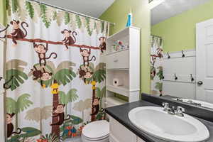 Full bathroom featuring toilet, a shower with shower curtain, and vanity
