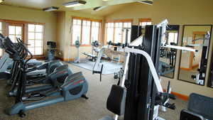 Exercise room with carpet, baseboards, lofted ceiling, and a healthy amount of sunlight