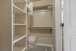 Walk in closet with carpet floors