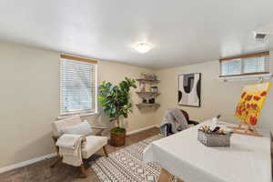 Large egress window in lower level bedroom