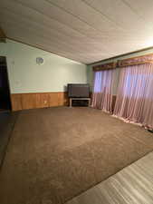 Unfurnished living room featuring wood walls, wainscoting, and carpet floors