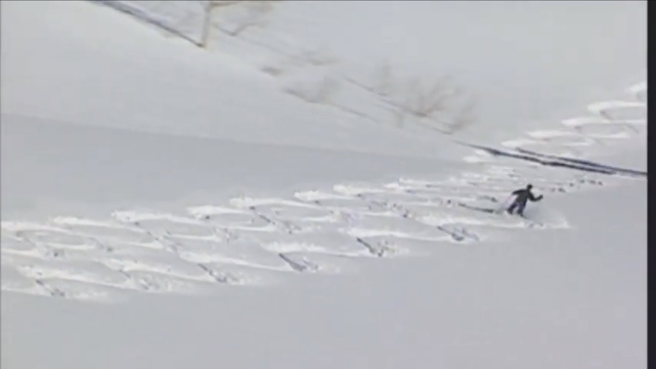 Utahs best powder skiing