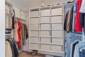 Walk in closet featuring carpet floors