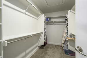Walk in closet with attic access and carpet floors