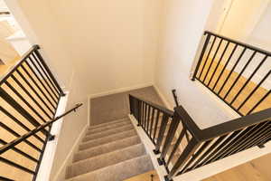 Staircase with baseboards and carpet floors