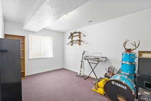 Game room featuring a textured ceiling, carpet flooring, baseboards, and visible vents