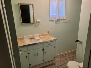 Half bathroom featuring toilet, wood finished floors, and vanity