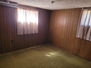 Carpeted spare room featuring wood walls and a textured ceiling