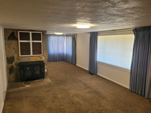 Unfurnished living room with carpet floors, baseboards, and a textured ceiling