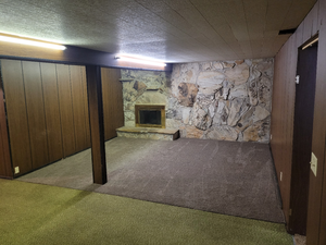 Finished basement with wooden walls, carpet, and a fireplace
