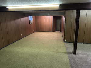Finished basement featuring wood walls and light colored carpet