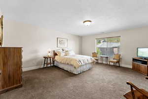 Bedroom with a textured ceiling, baseboards, and carpet floors